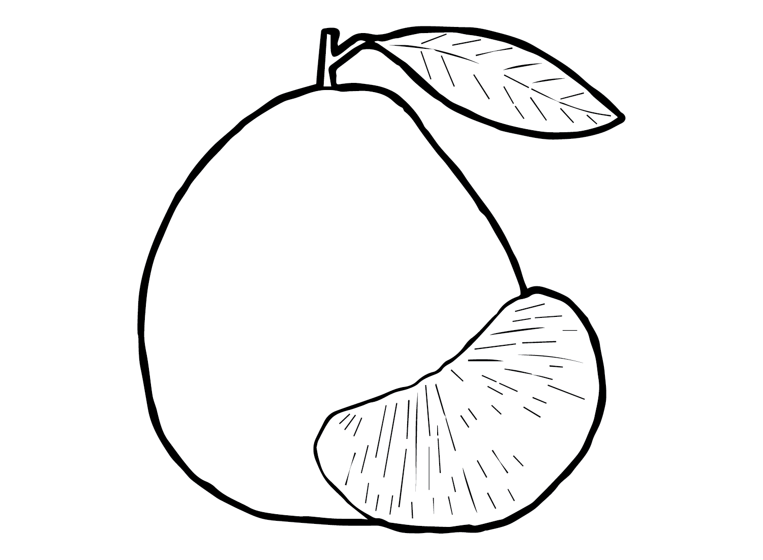 Print Pomelo Coloring Page