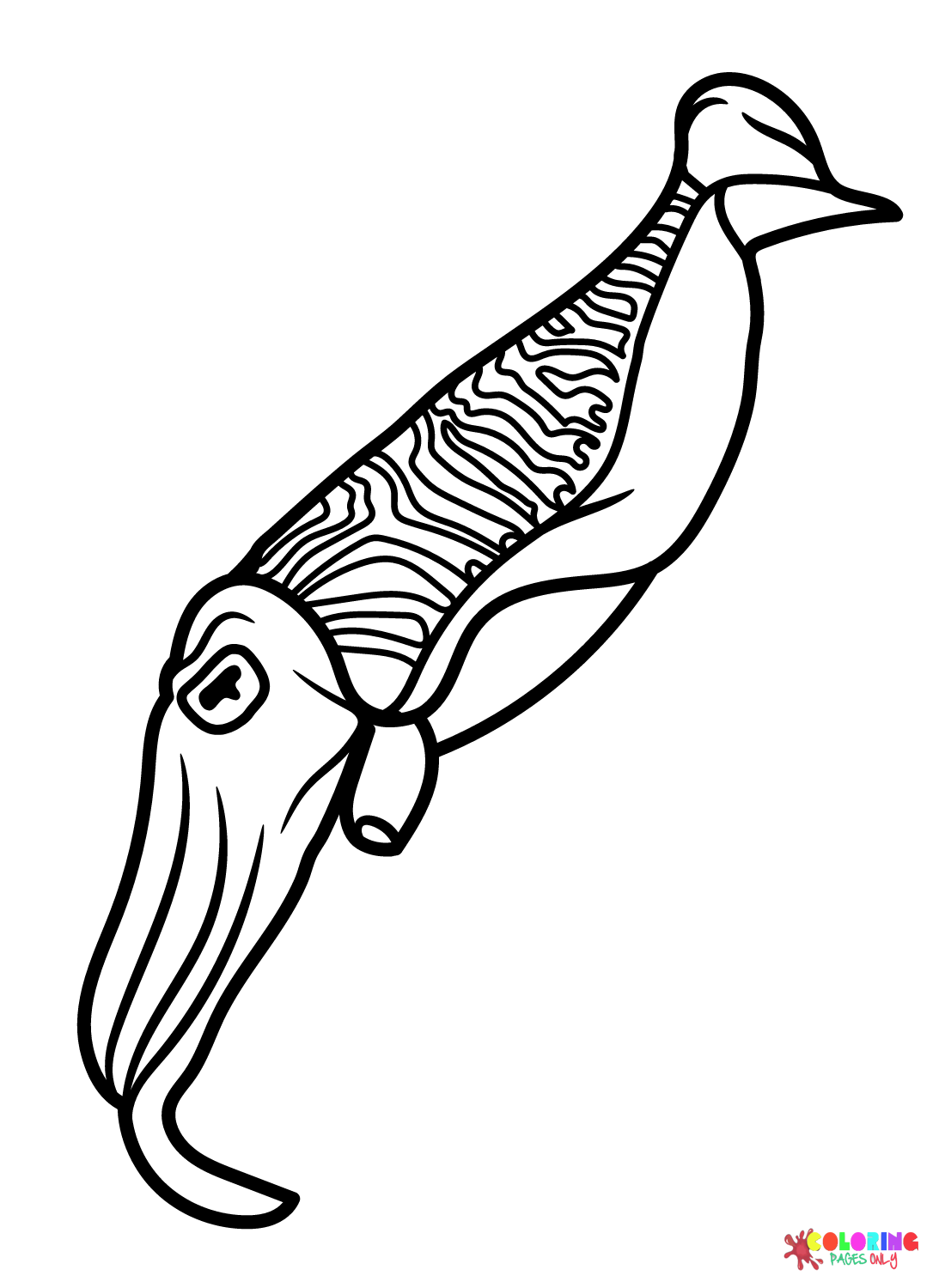Printable Cuttlefish Coloring Page