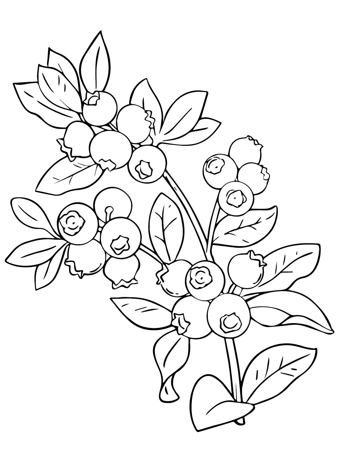 Printable Huckleberry Coloring Page