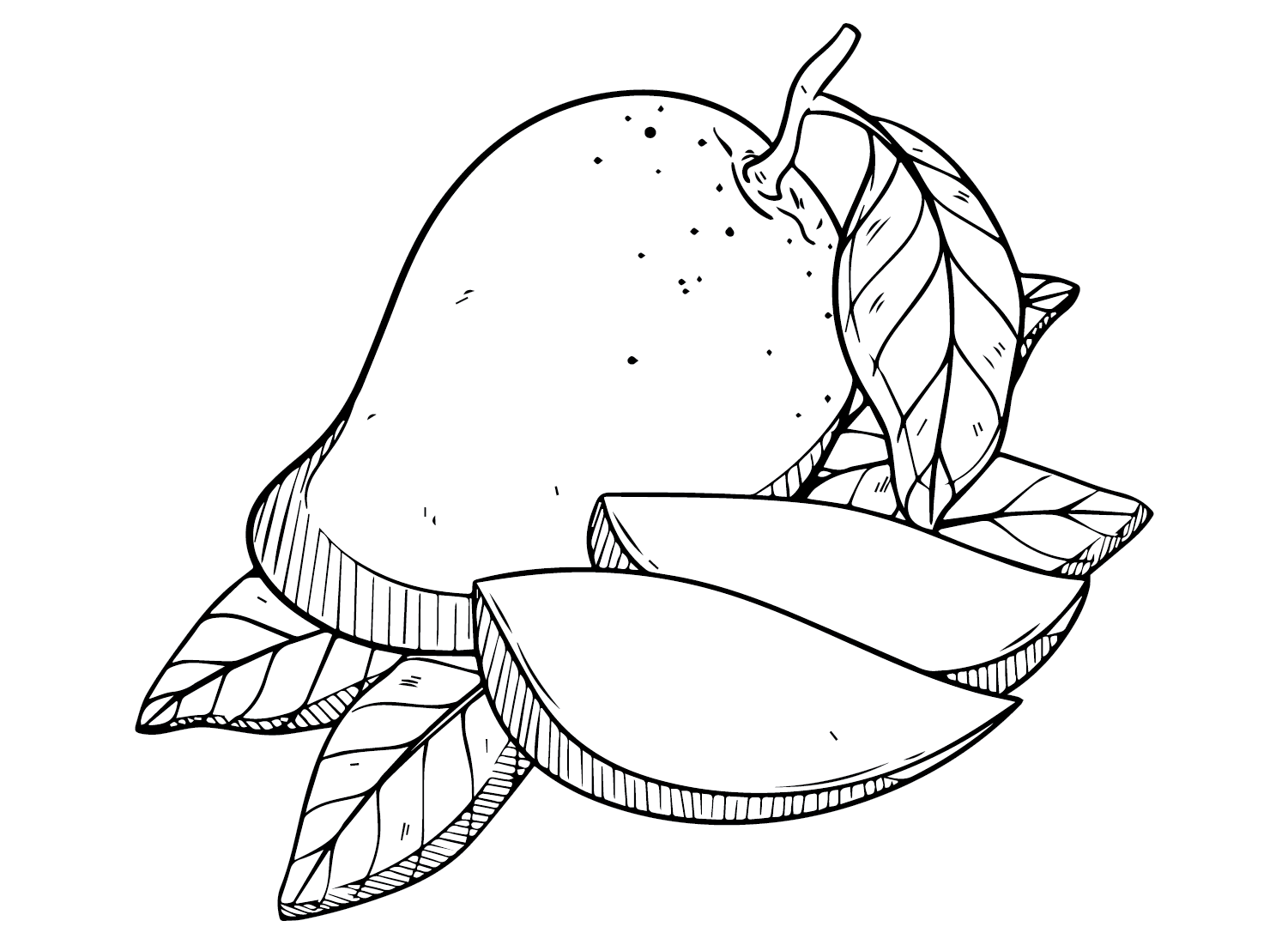 Afdrukbare mango van Mango