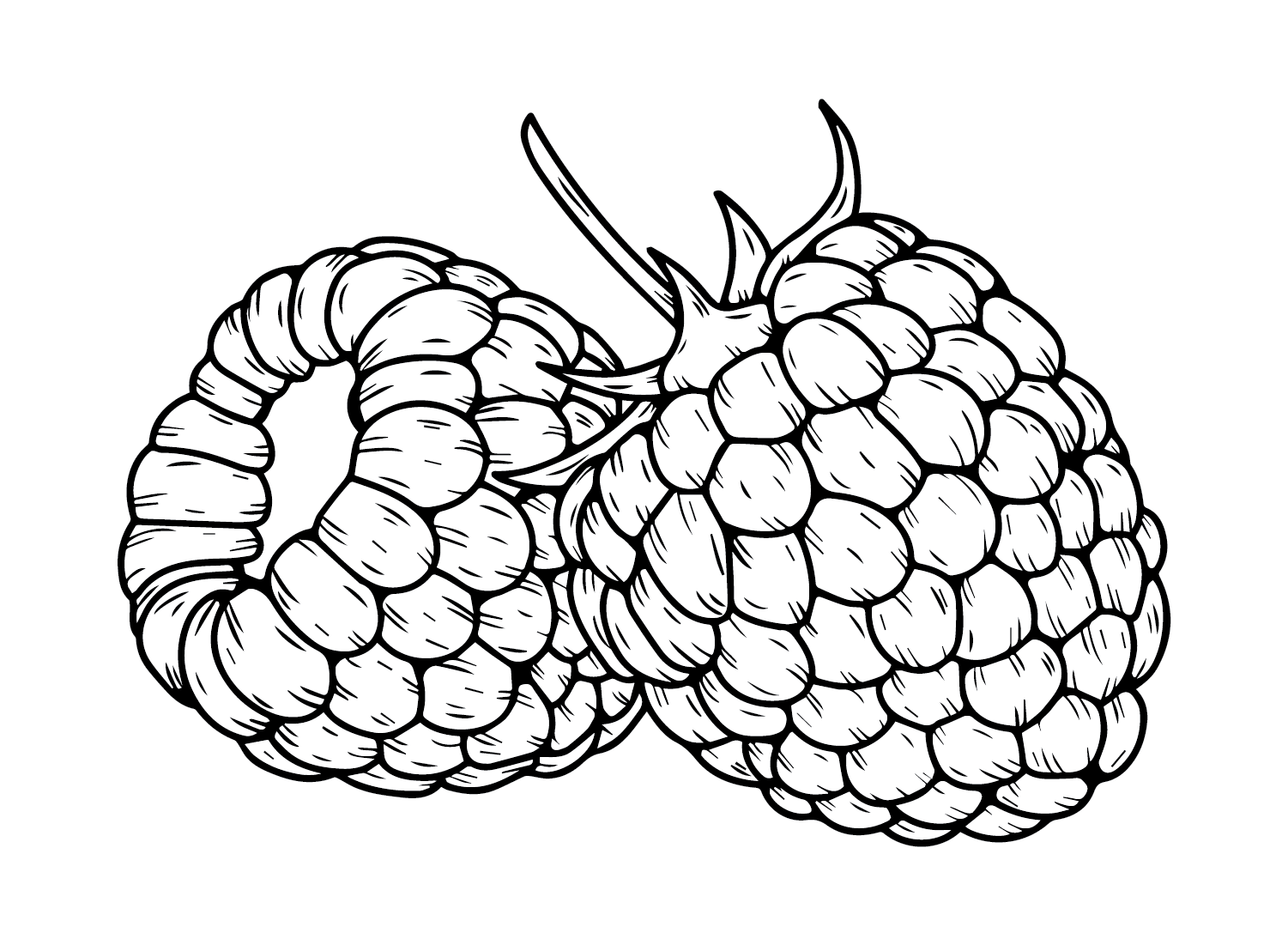 Afdrukbare framboos van Raspberry