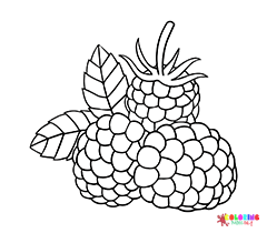 Raspberry Coloring Pages