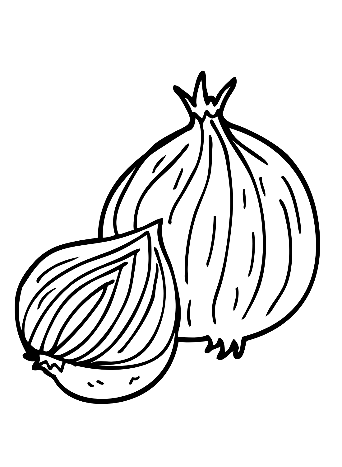 Red Onion Coloring Page