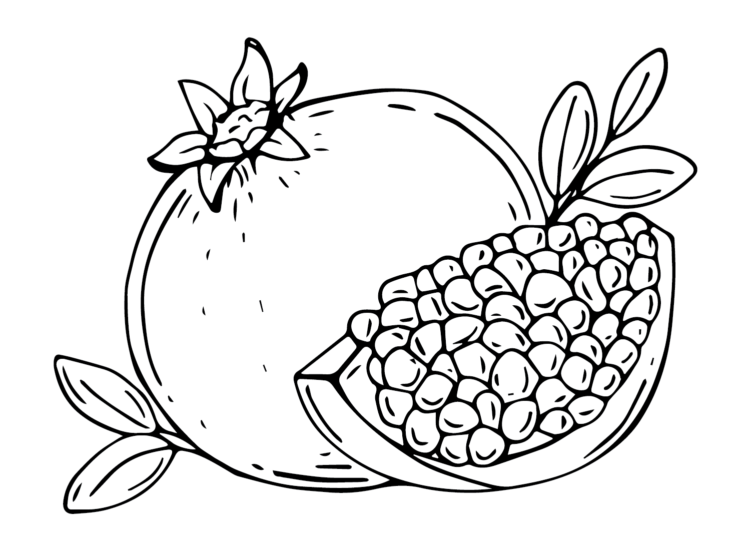 Red Pomegranate Coloring Page