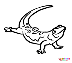 Reptiles Coloring Pages