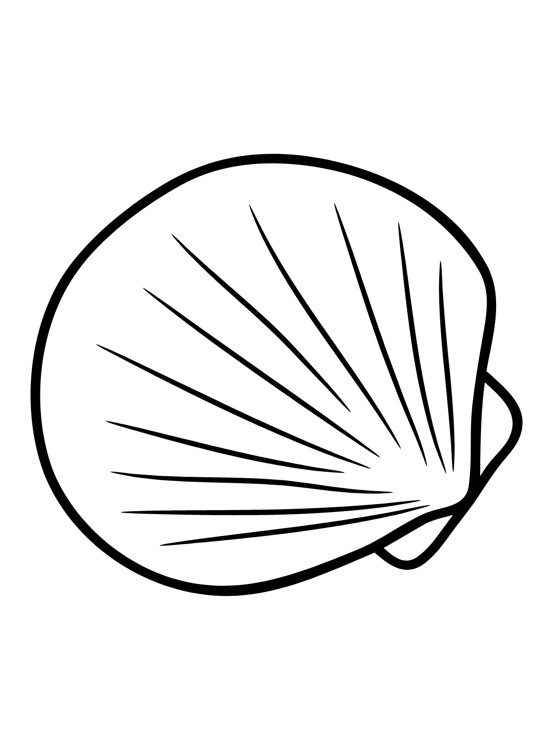 Scallop Images Coloring Page