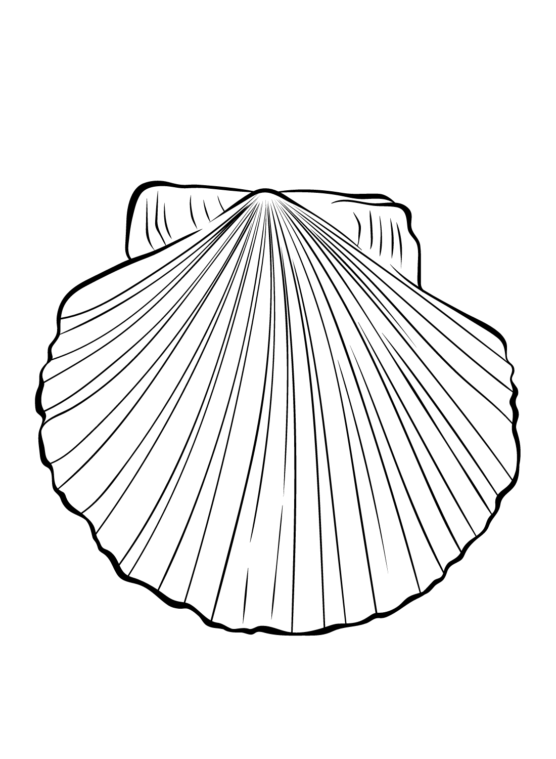 Scallop Pictures Coloring Page