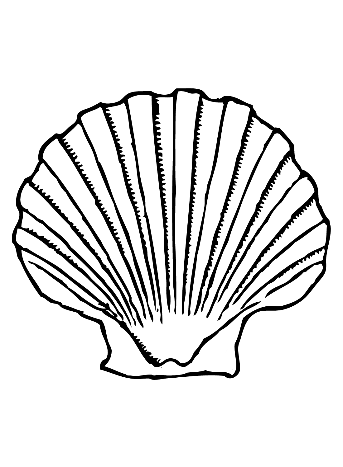Scallop Shells Coloring Page