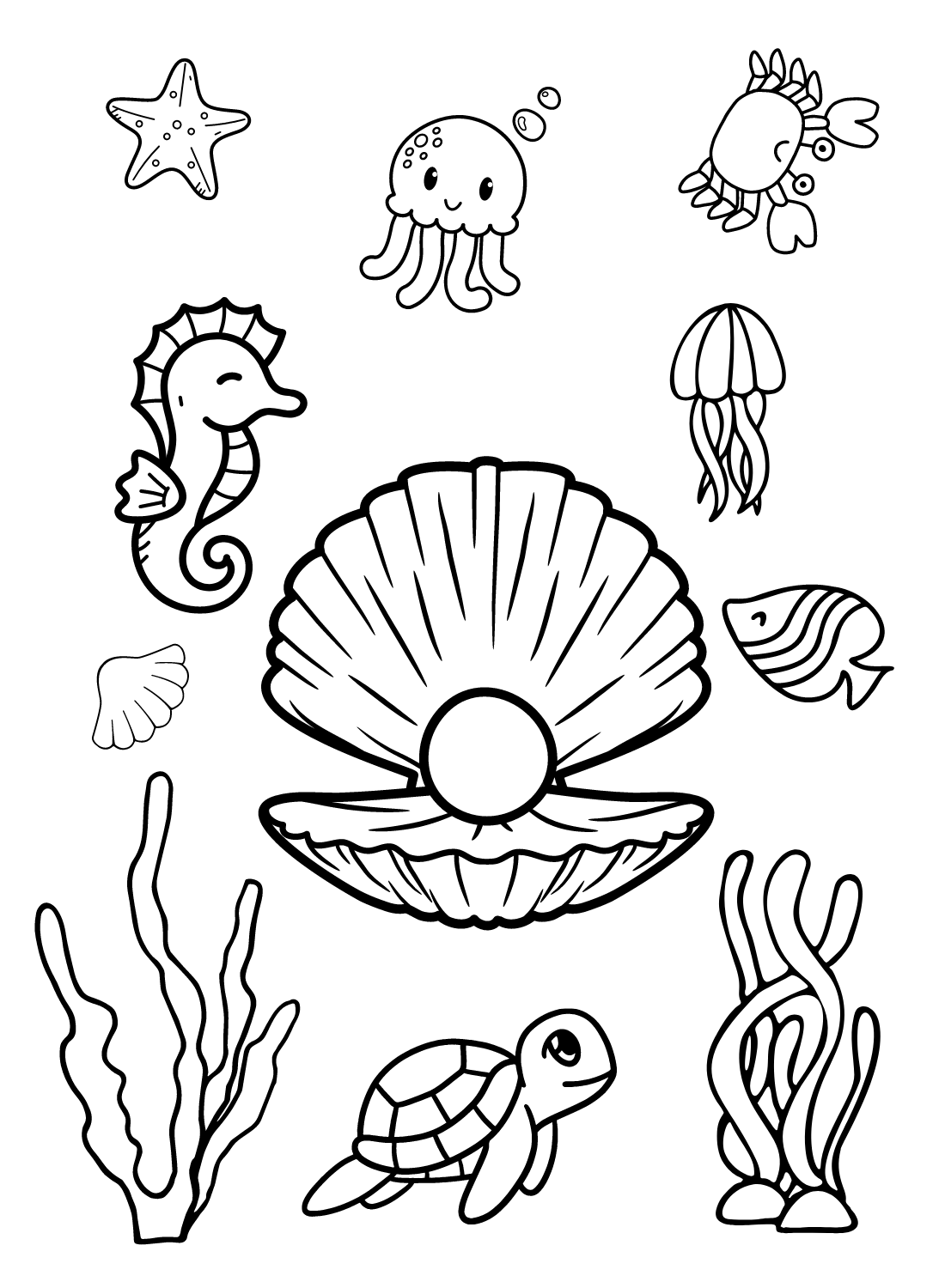 扇贝与扇贝海洋动物