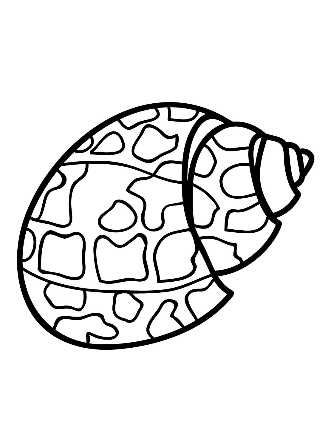 Sea Snail Printable Coloring Page