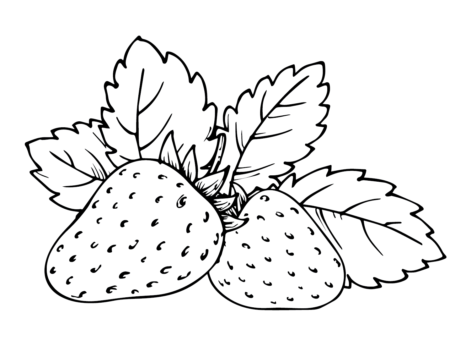 Erdbeerfrei von Erdbeere