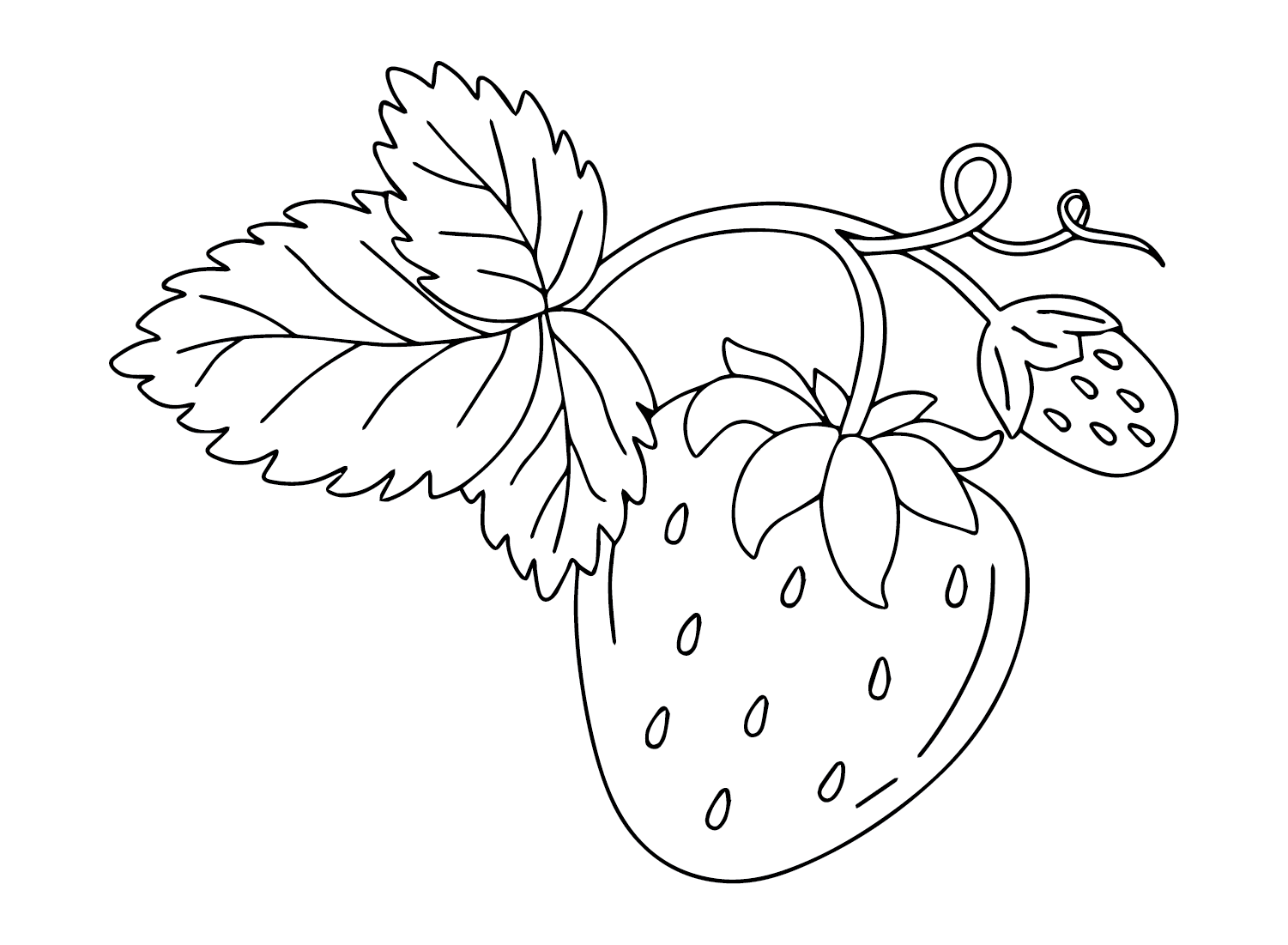 Strawberry Coloring Pages - Coloring Pages For Kids And Adults