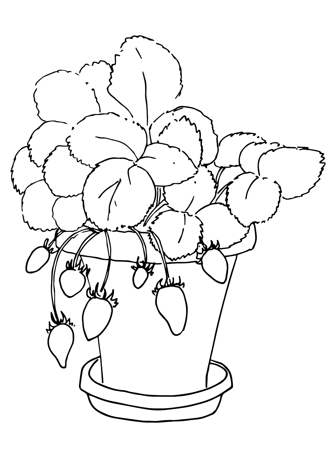 Клубничное дерево из клубники