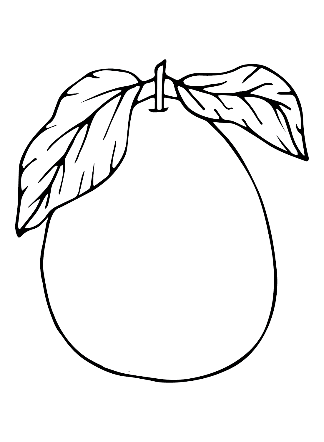 The Pomelo from Pomelo