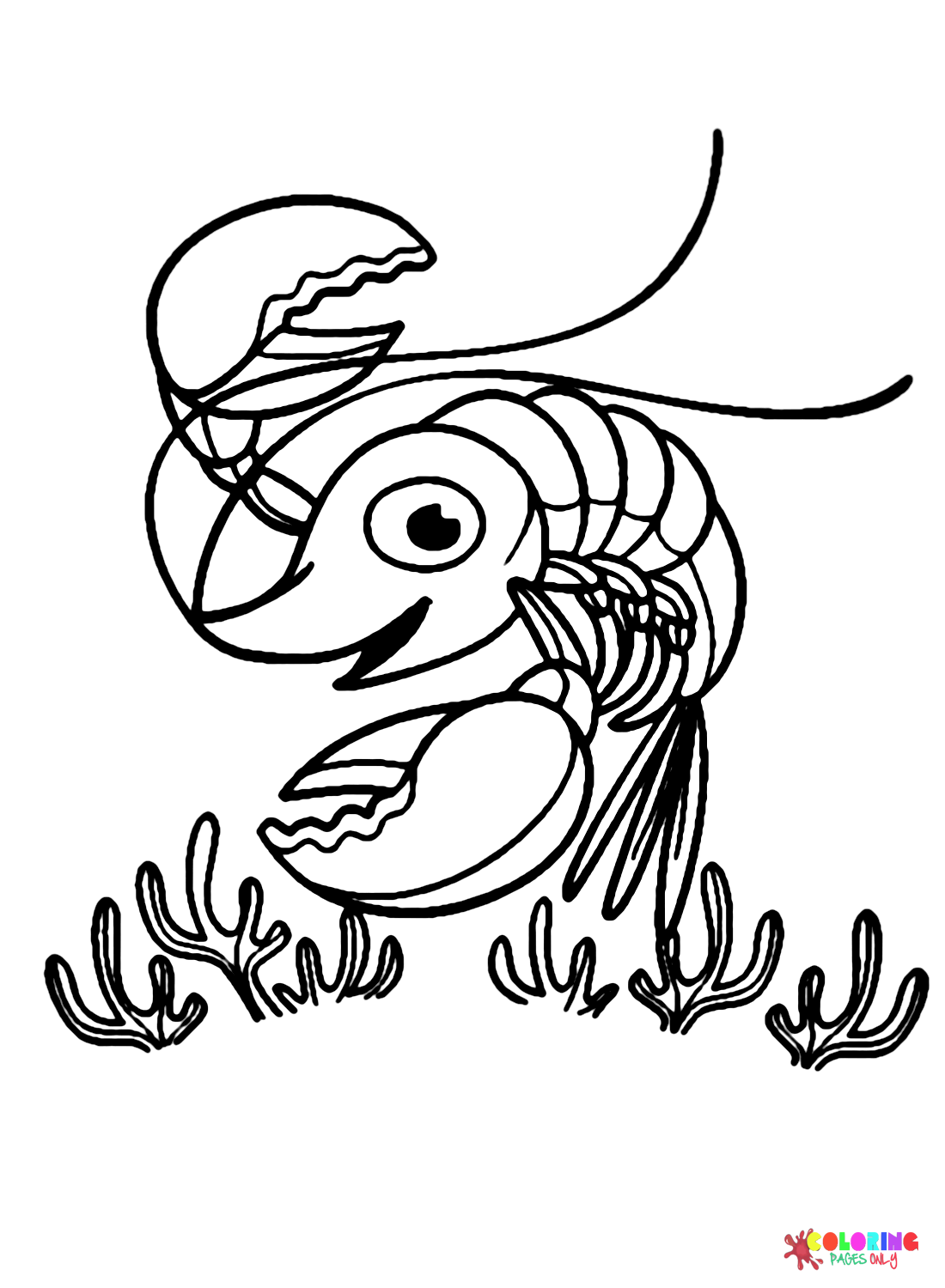 Tiny Shrimp Coloring Page