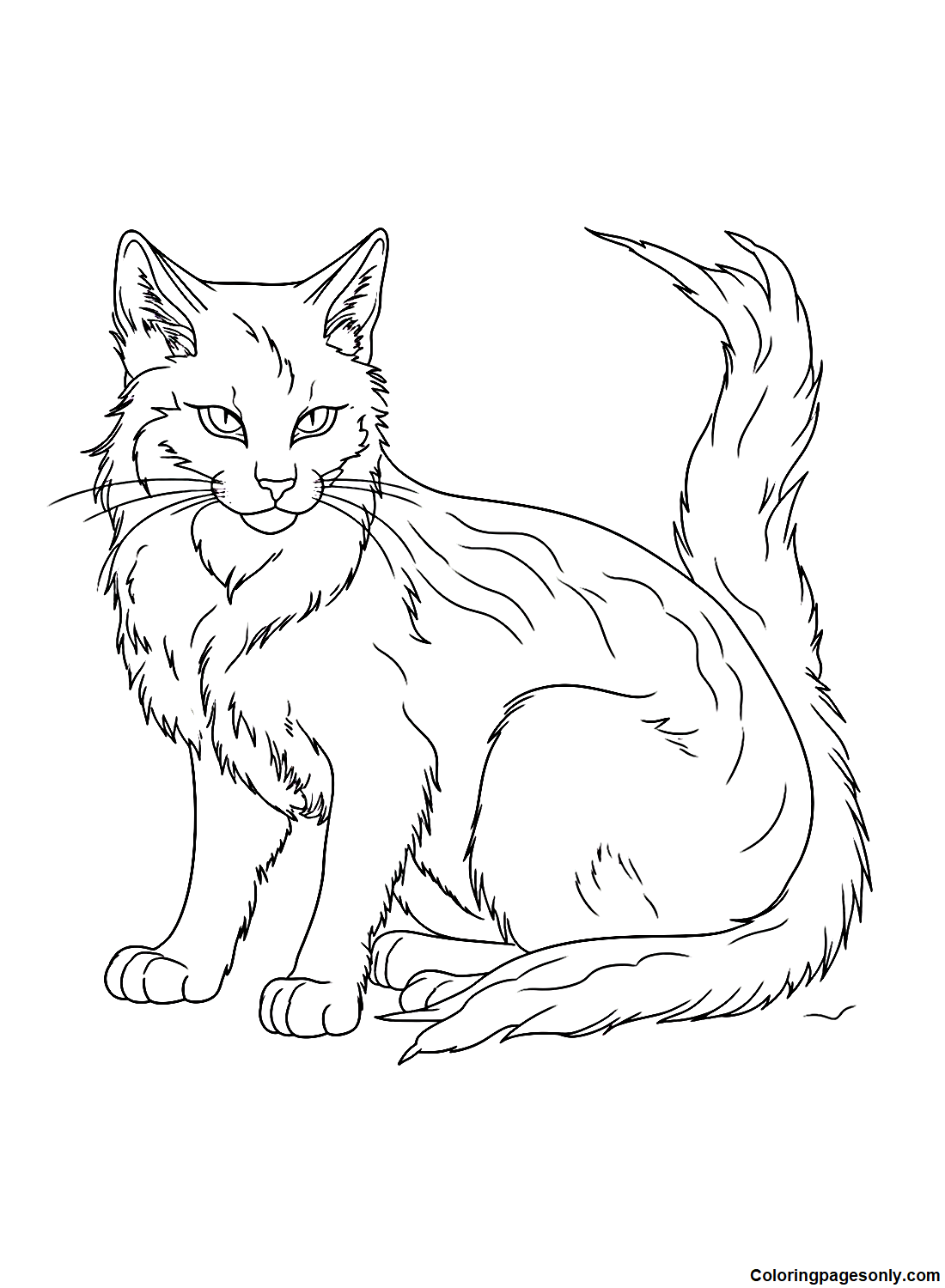 Warrior Cats Firestar Coloring Page