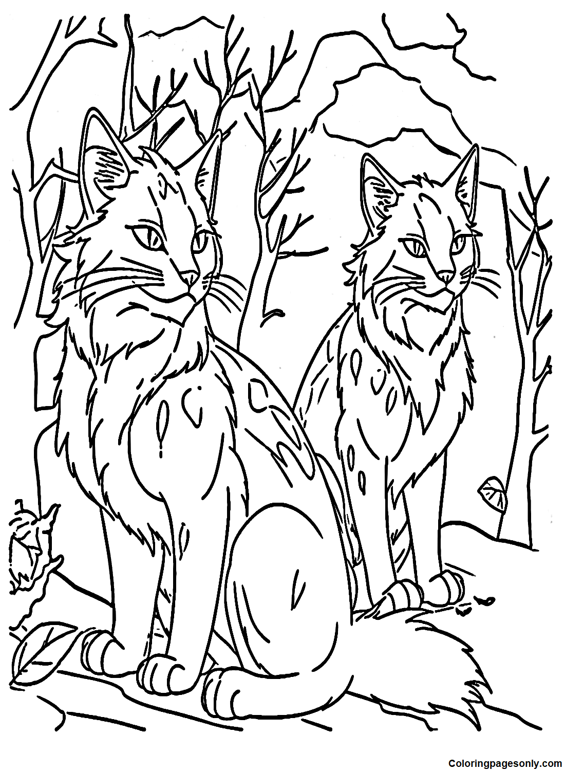 Коты-воители Белка и Огнезвезд из «Котов-воителей»
