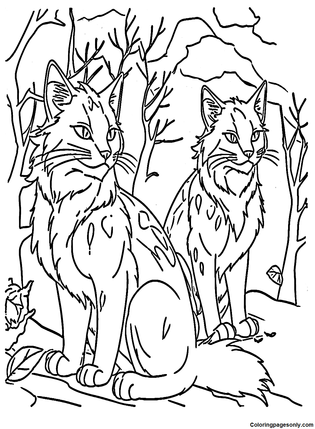 Warrior Cats Eichhornschweif und Feuerstern von Warrior Cats