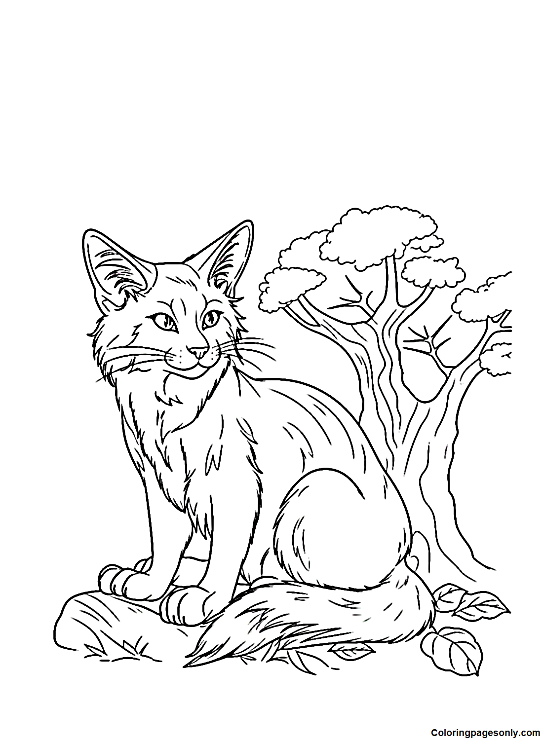 Warrior Cats Squirrelflight Coloring Pages