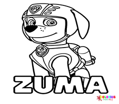 Zuma Paw Patrol Coloring Pages