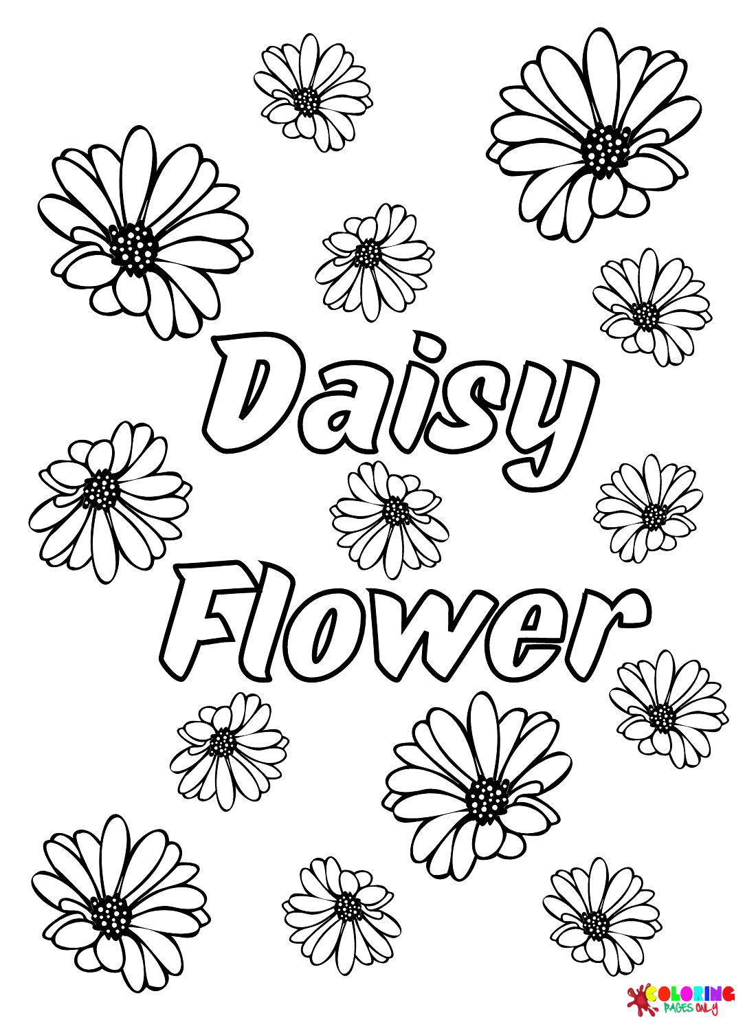 Beautiful Daisy Flower Coloring Page