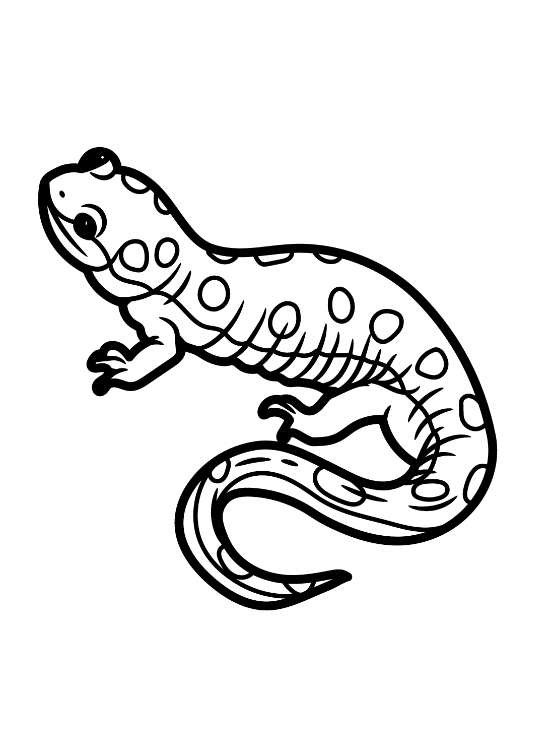 California Tiger Salamander Coloring Page