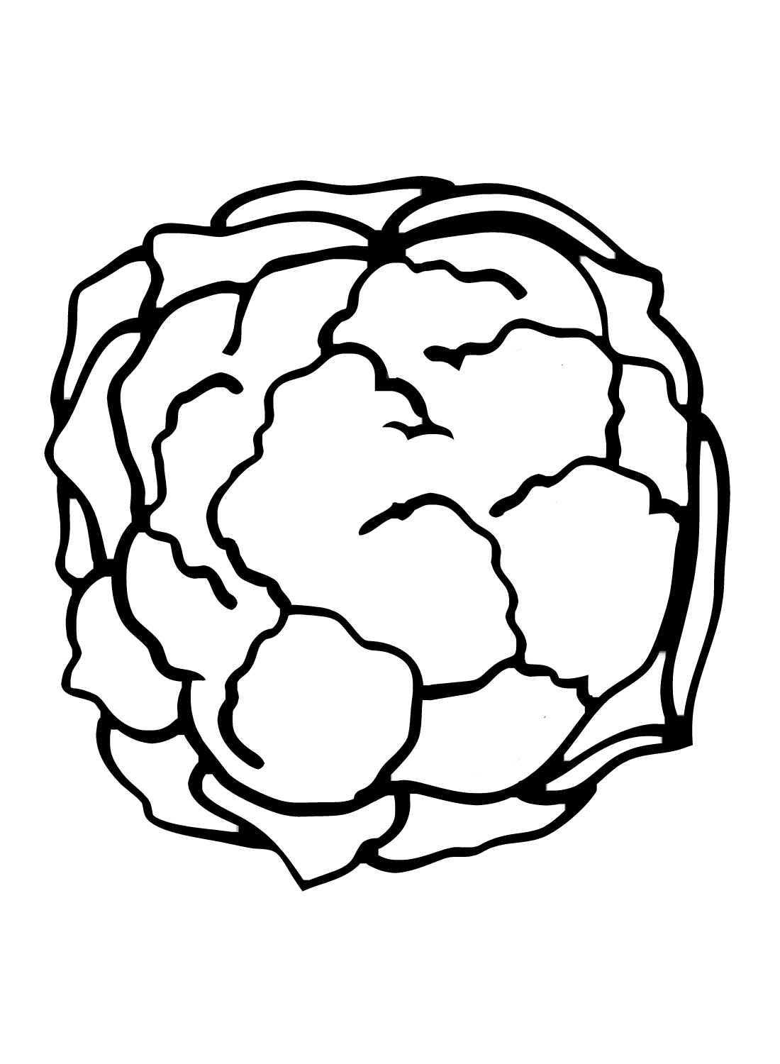 Cauliflower color Sheets Coloring Pages