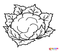 Cauliflower Coloring Pages