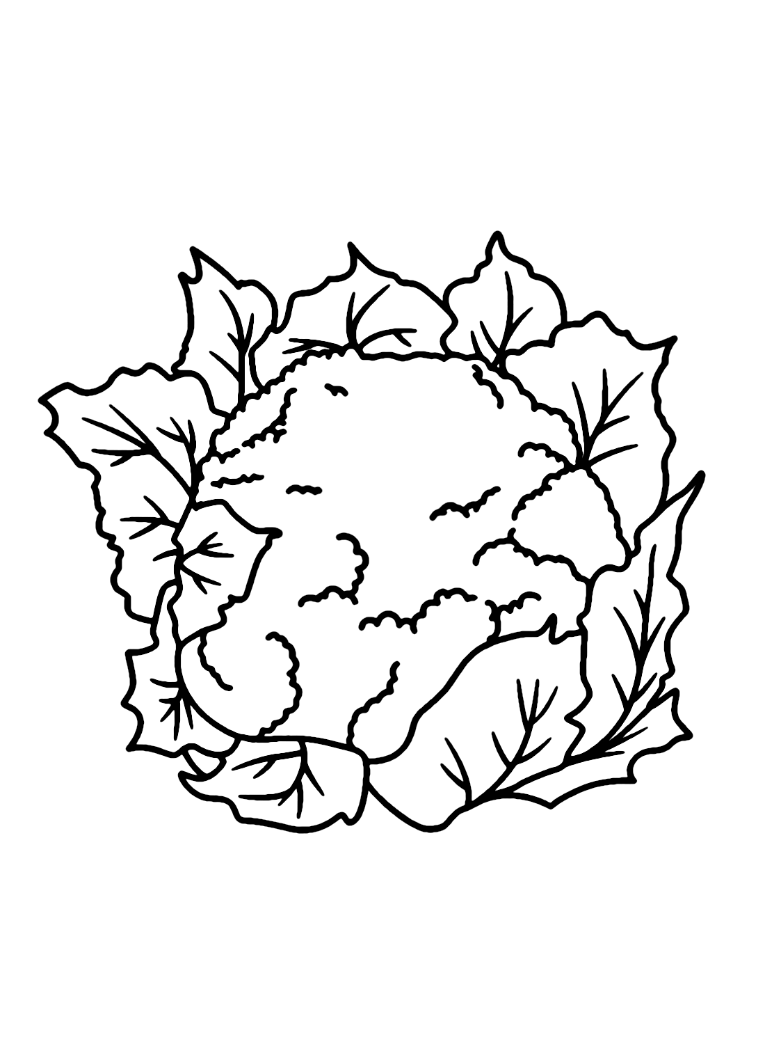 Cauliflower for Kids Coloring Page