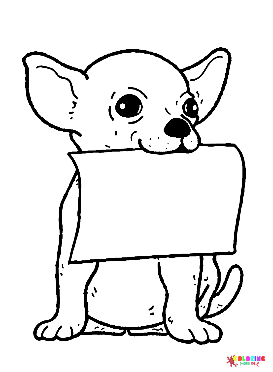 Chihuahua mit leerer Werbetafel aus Chihuahua