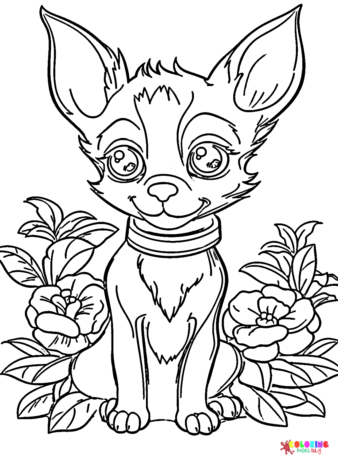 Chihuahua with Flowers from Chihuahua