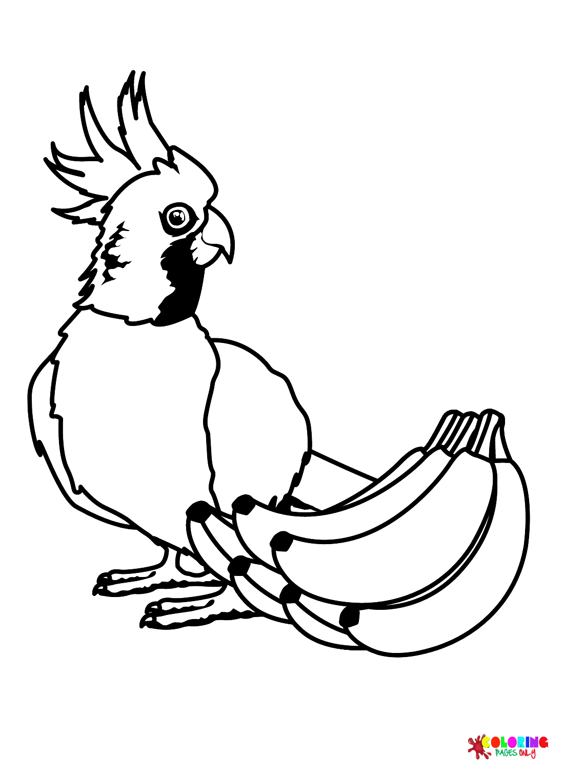 Oiseau cacatoès aux bananes de cacatoès