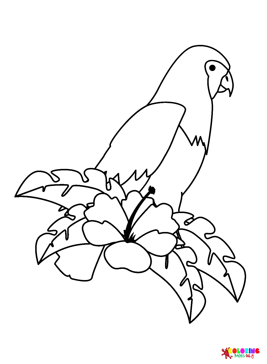 Oiseau cacatoès avec des fleurs de cacatoès