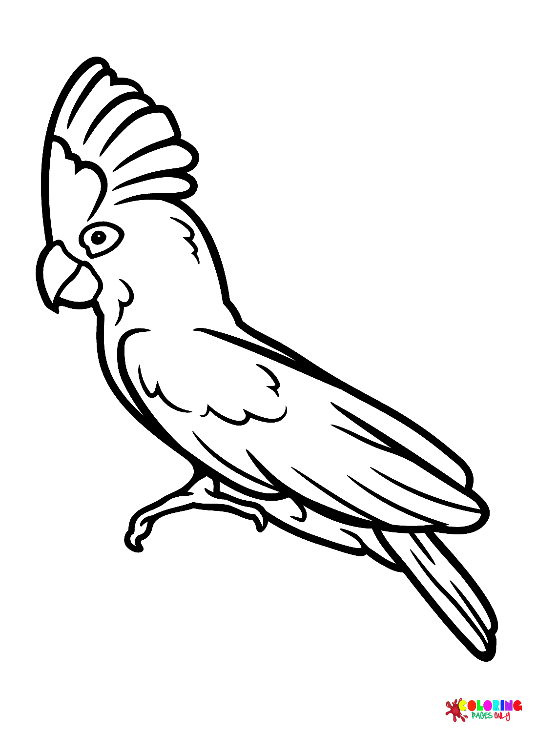 Cockatoo Images Coloring Pages