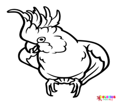 Cockatoo Coloring Pages