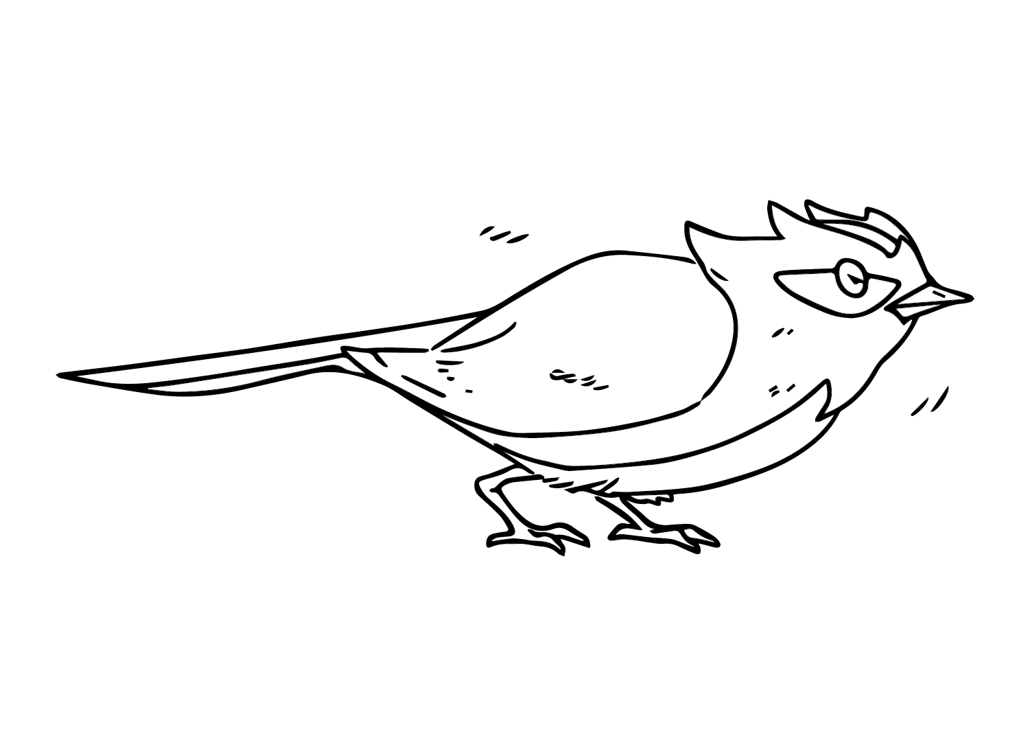 Color Rookidee Coloring Page