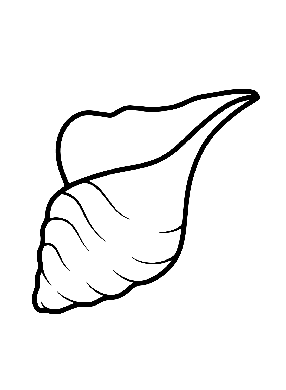 Conch Drawing Coloring Page