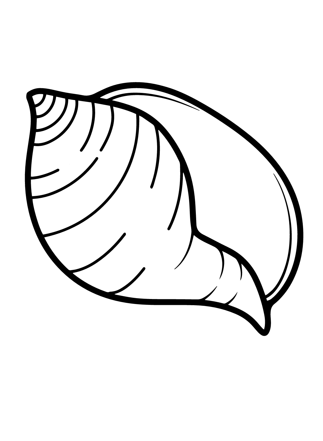 Conch Free Coloring Page
