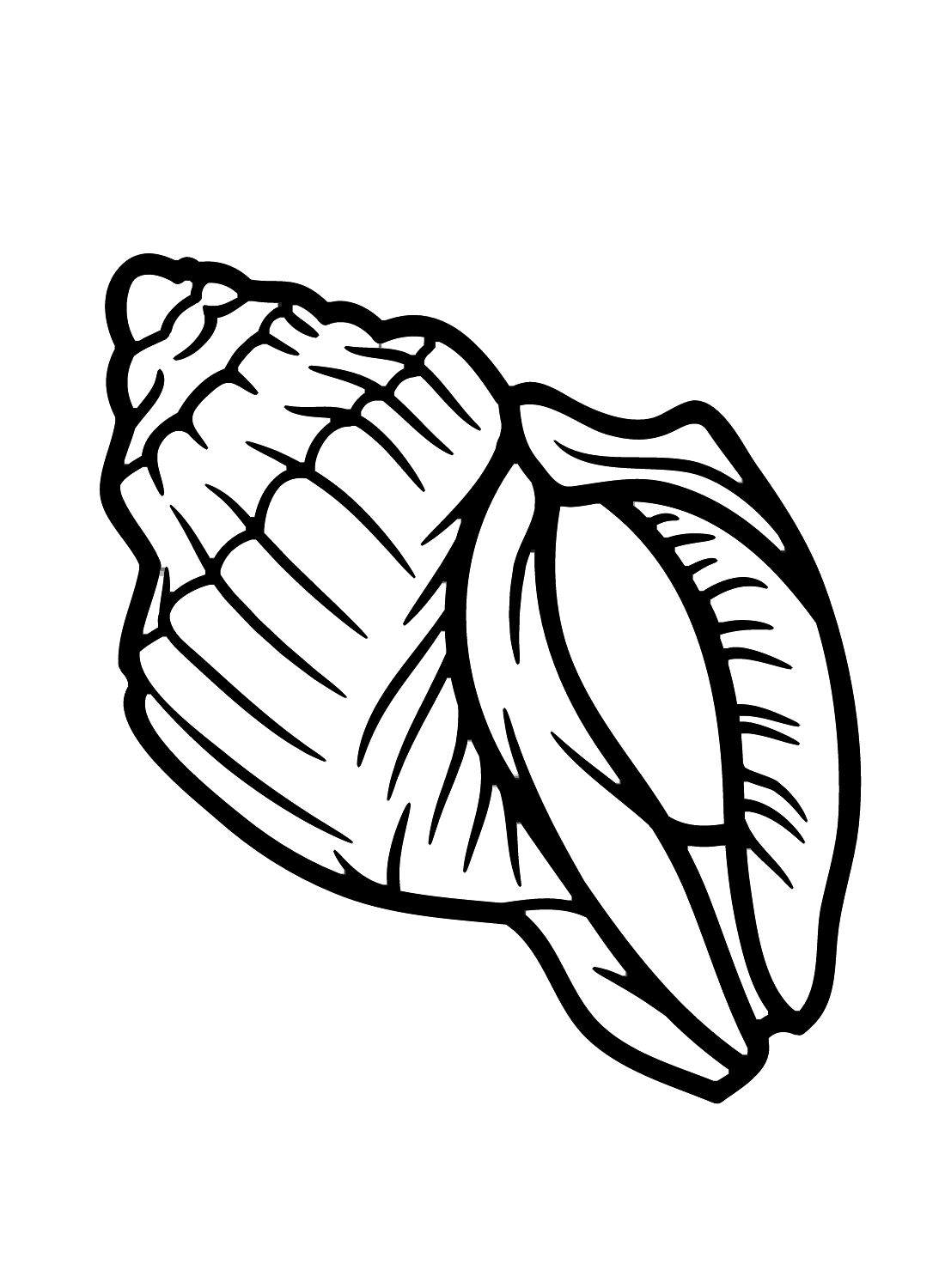 Conch color Sheets Coloring Page