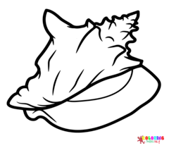 Páginas para colorir de concha