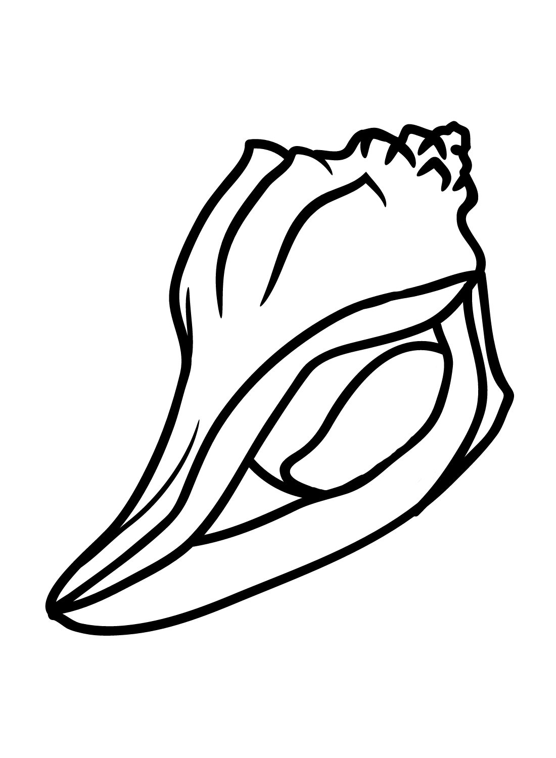 Conch to Print Coloring Page