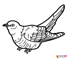 Cuckoo Coloring Pages