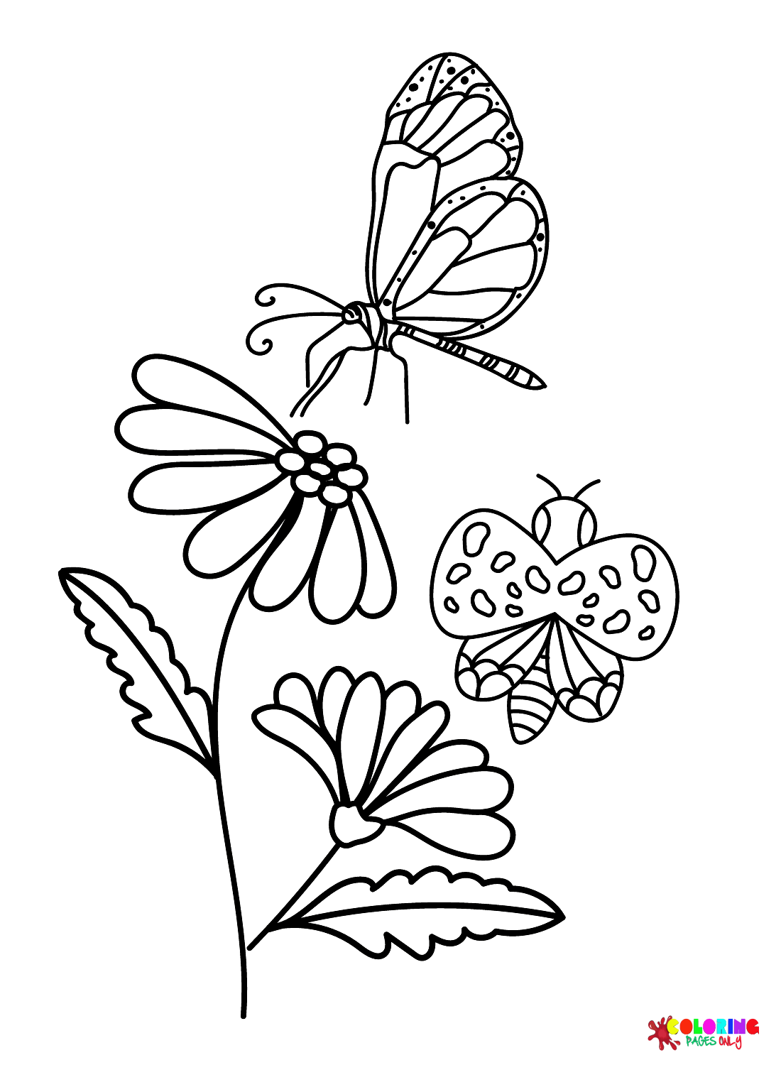 Daisy Flower with Butterfly Coloring Page