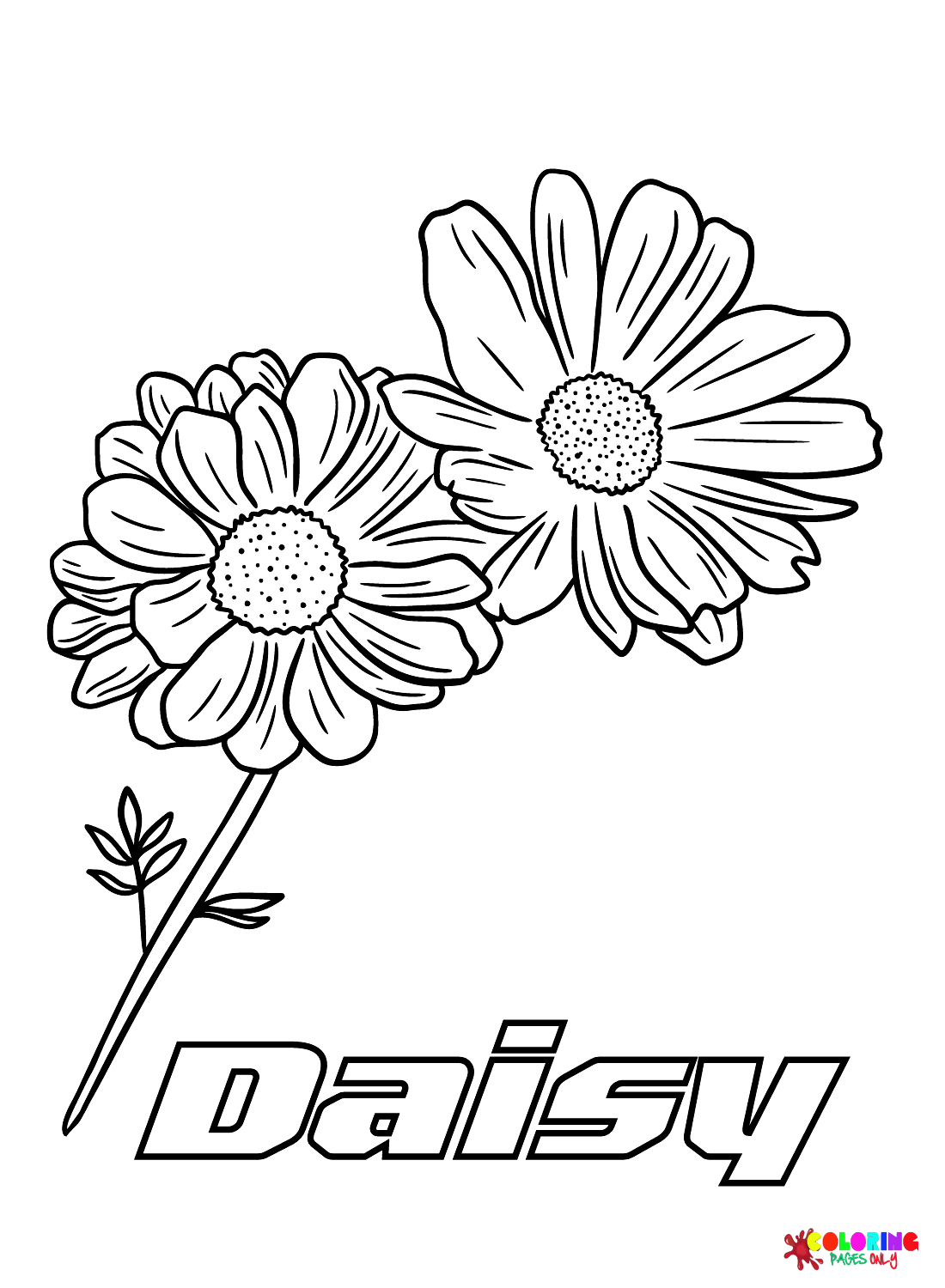 Daisy Flowers For Kids Coloring Page