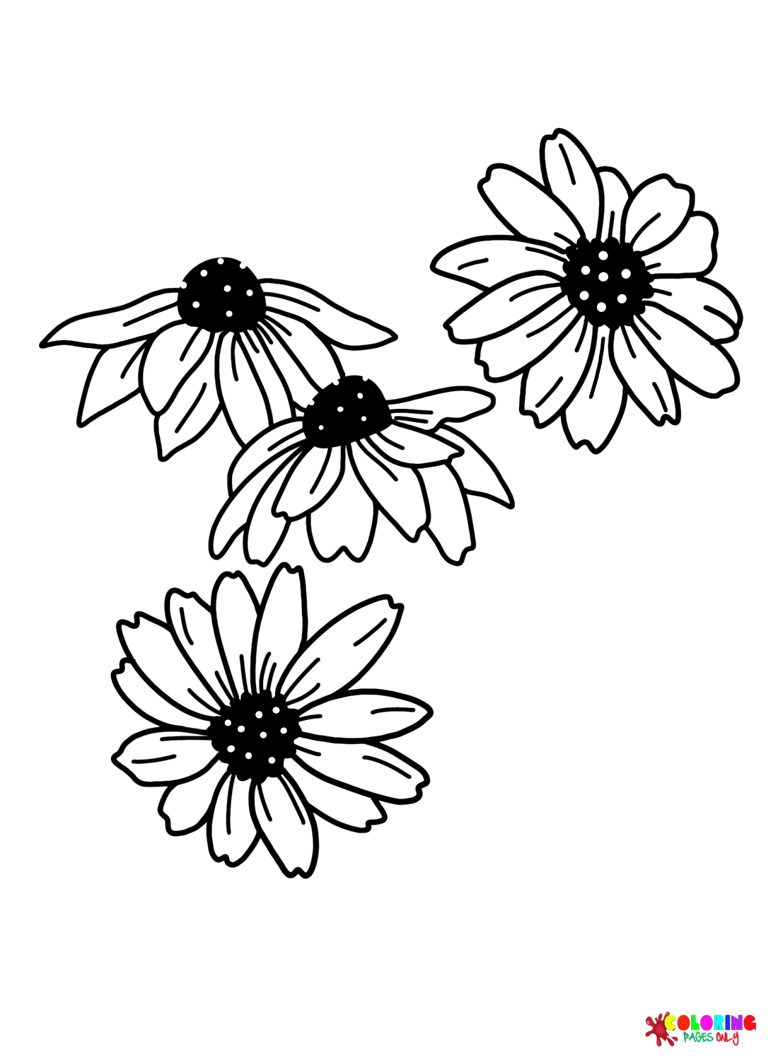 Daisy Images Coloring Page