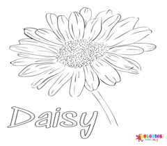 Daisy coloring pages Coloring Pages