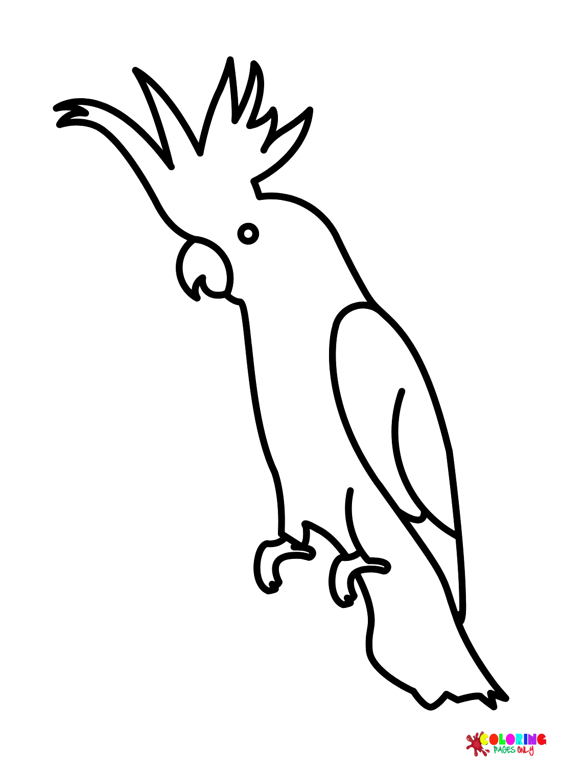 Draw Easy Cockatoo from Cockatoo