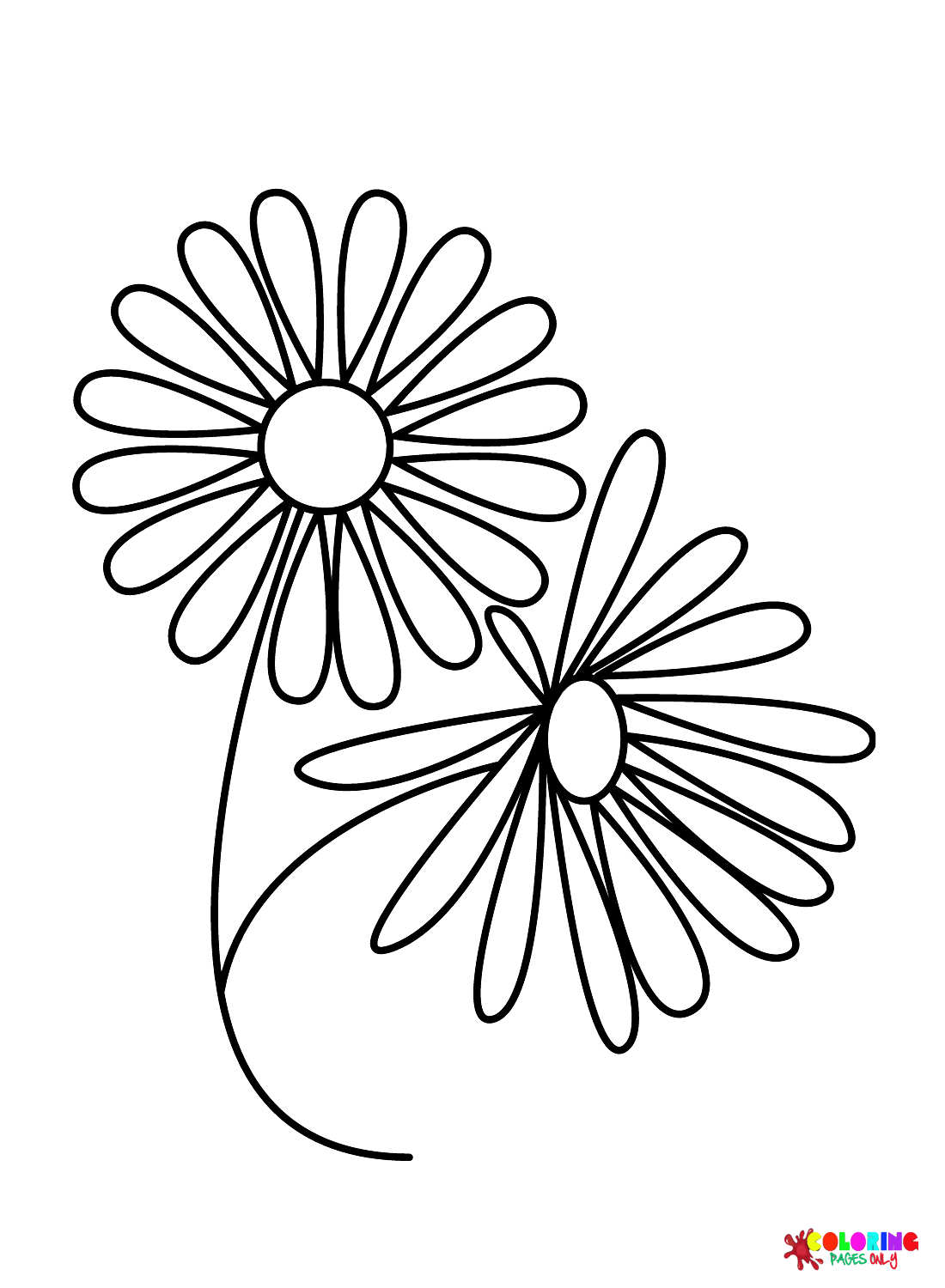 Draw Easy Daisy Flower Coloring Page