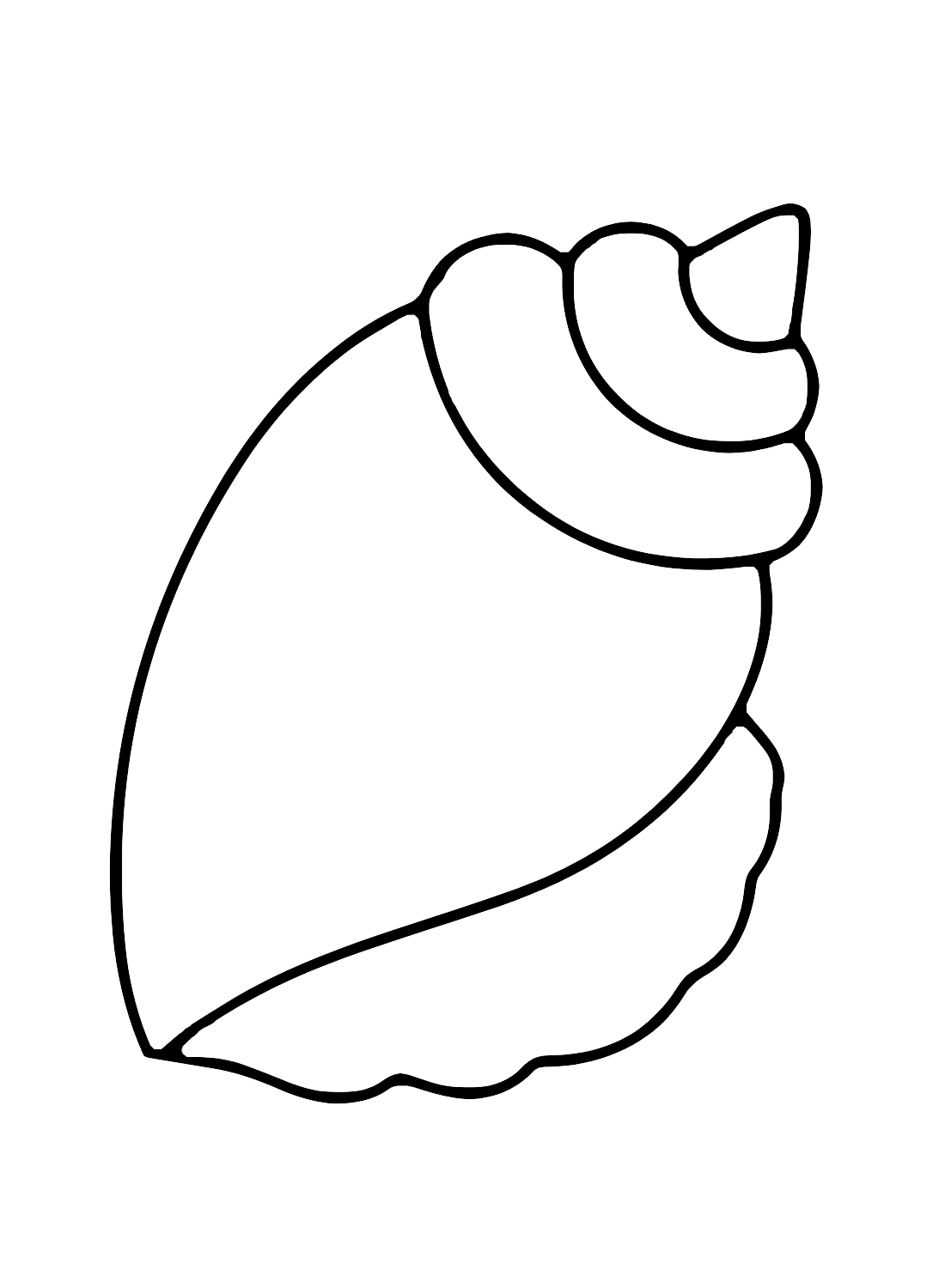 Drawing Conch Coloring Page