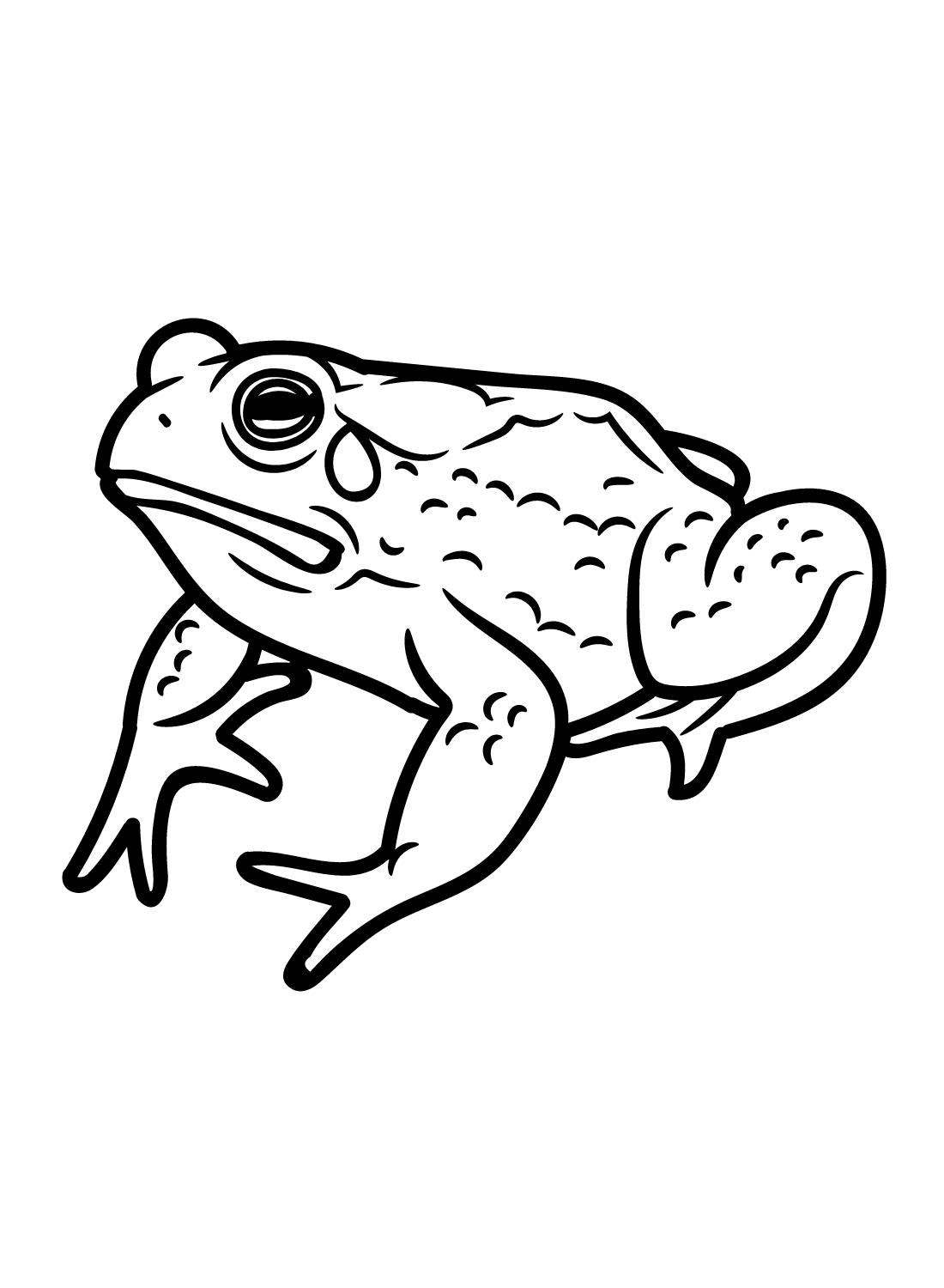 Drawing Toad Coloring Page